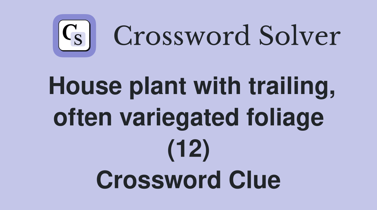 House plant with trailing, often variegated foliage (12) Crossword Clue