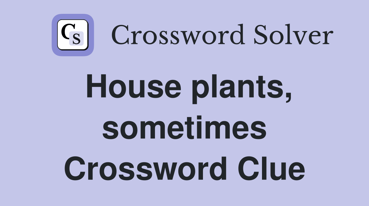 House plants, sometimes Crossword Clue