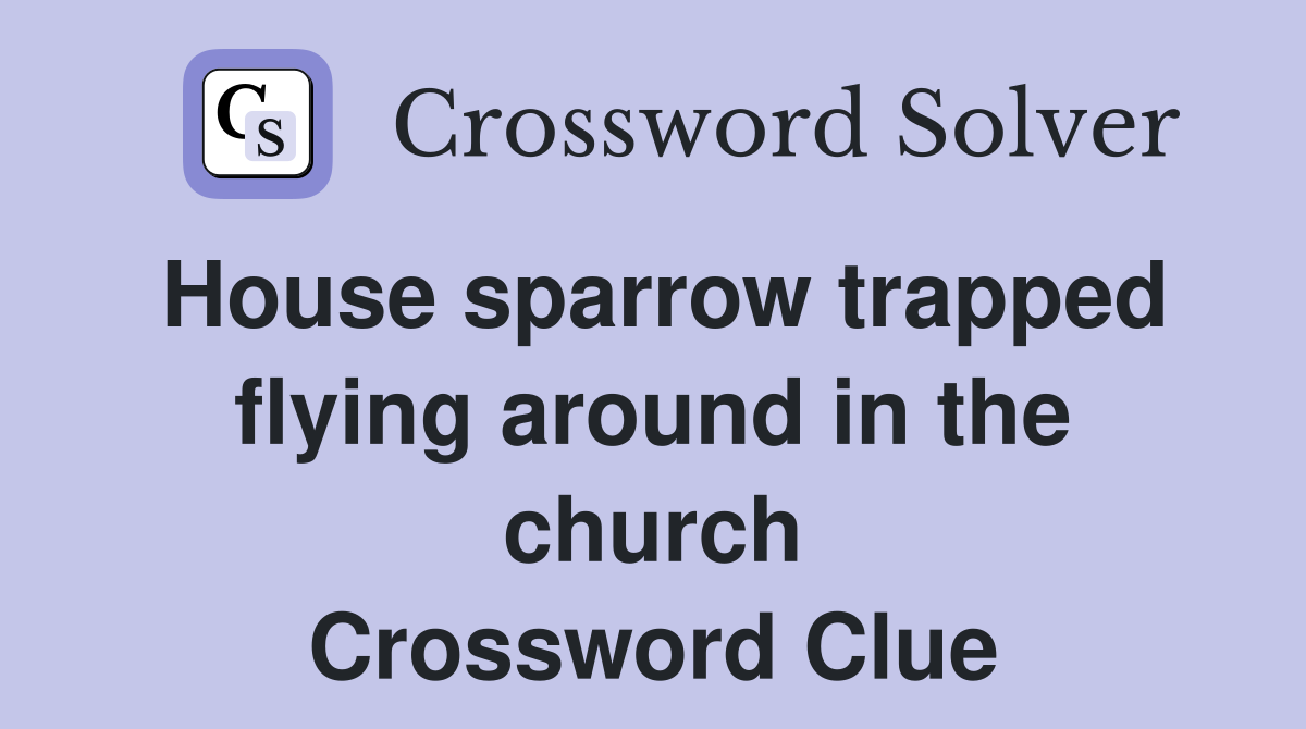 House sparrow trapped flying around in the church Crossword Clue