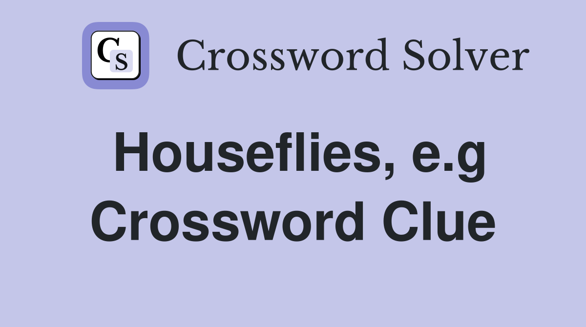 Houseflies, e.g Crossword Clue