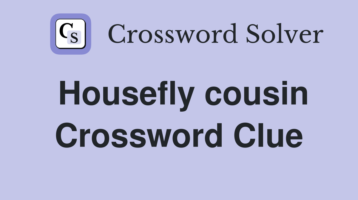Housefly cousin Crossword Clue