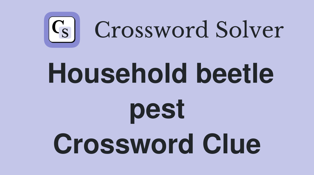 Household beetle pest Crossword Clue