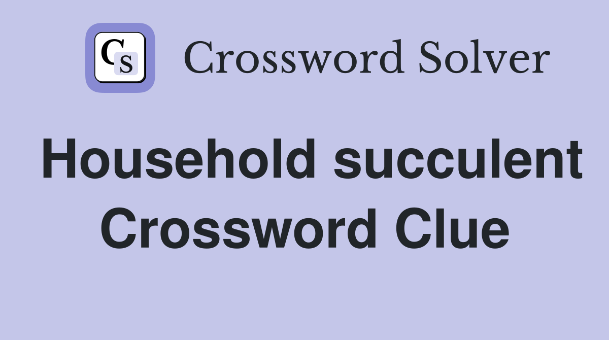Household succulent Crossword Clue