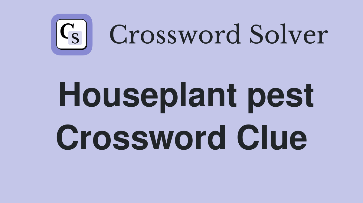 Houseplant pest Crossword Clue