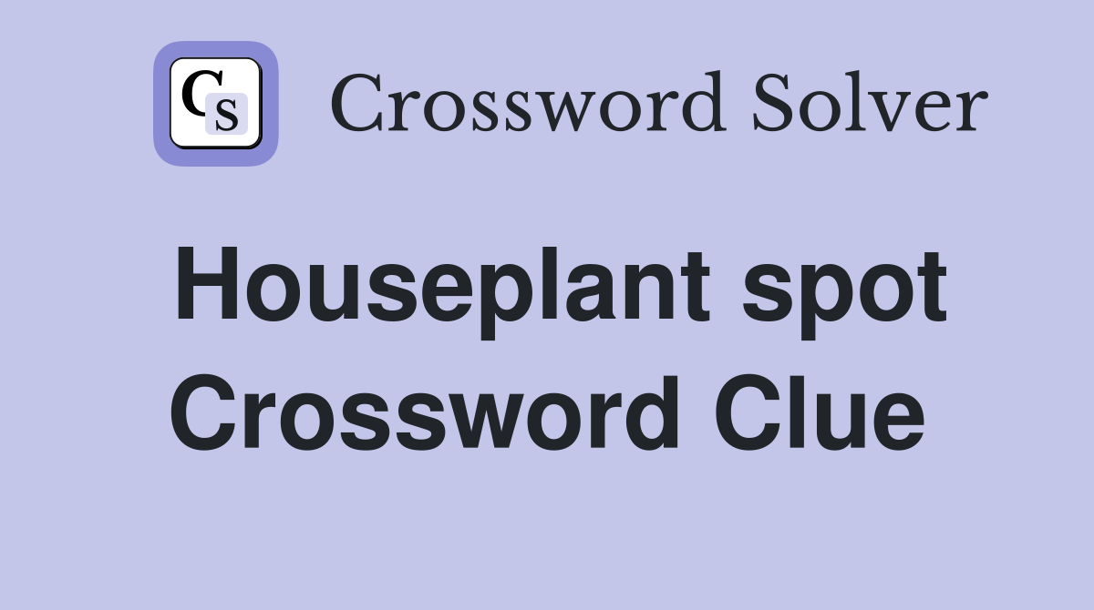 Houseplant spot Crossword Clue