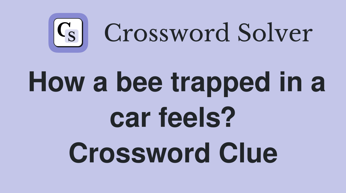 How a bee trapped in a car feels? Crossword Clue