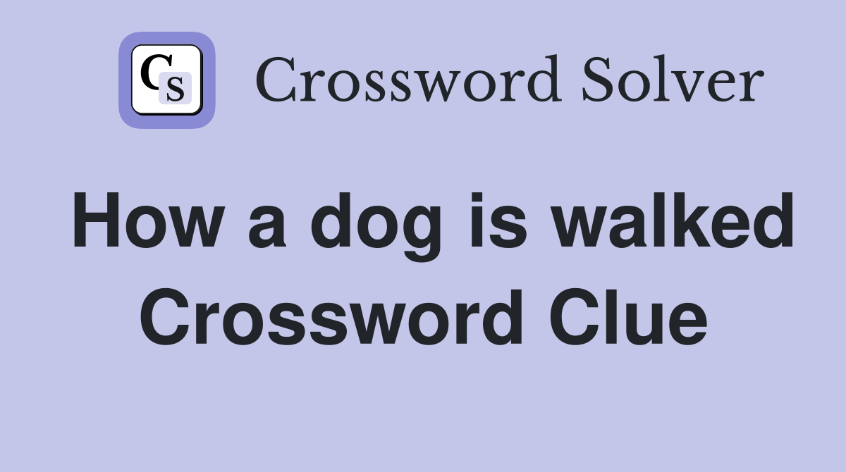 How a dog is walked Crossword Clue