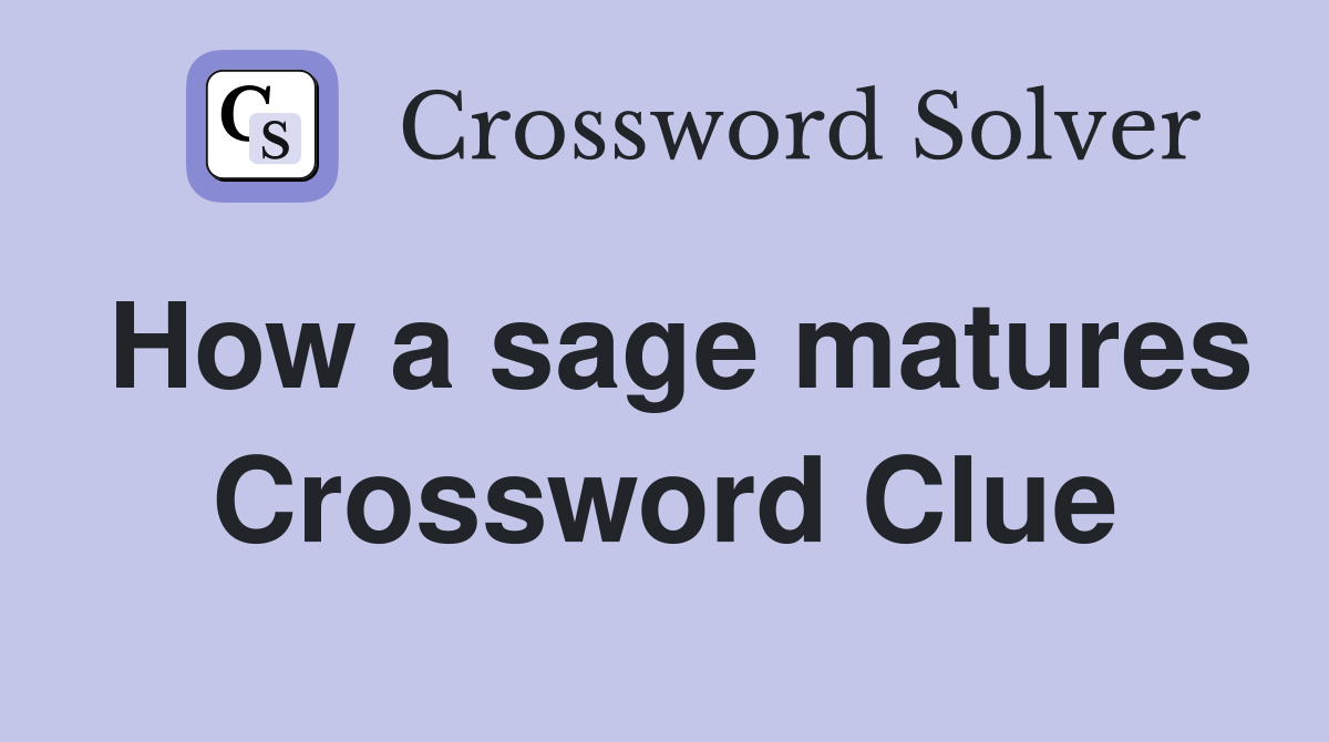How a sage matures Crossword Clue