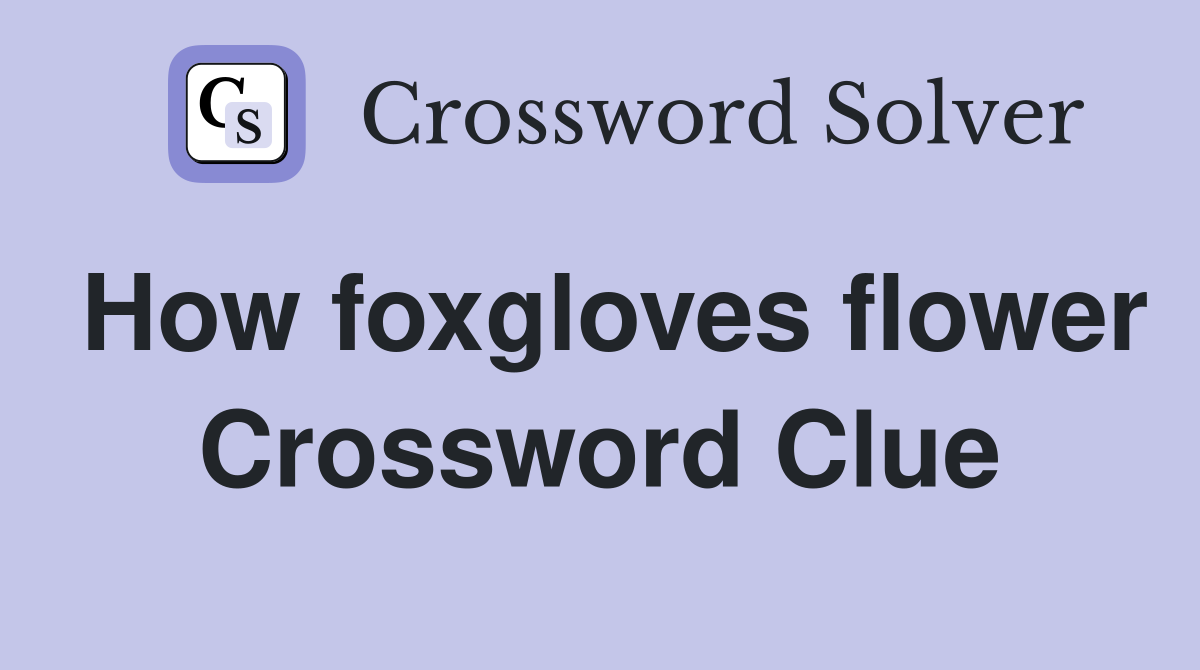 How foxgloves flower Crossword Clue