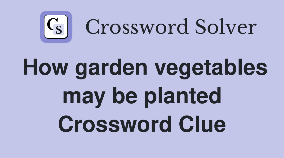 How garden vegetables may be planted Crossword Clue