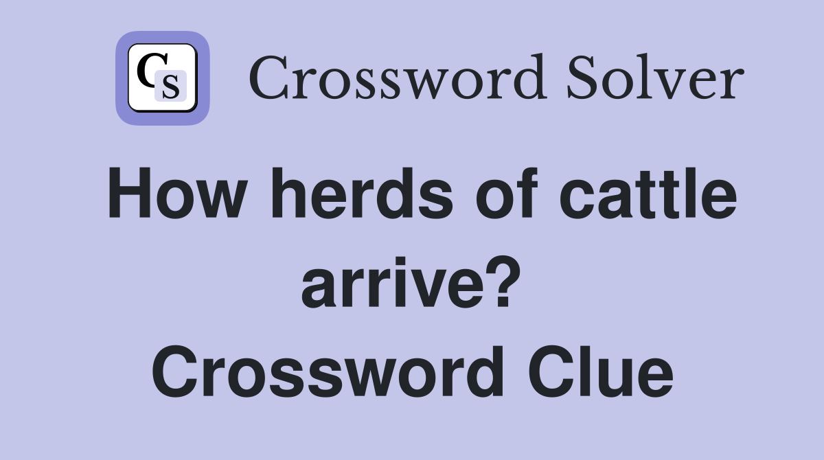 How herds of cattle arrive? Crossword Clue