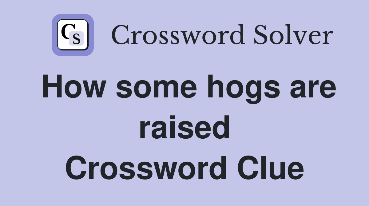 How some hogs are raised Crossword Clue