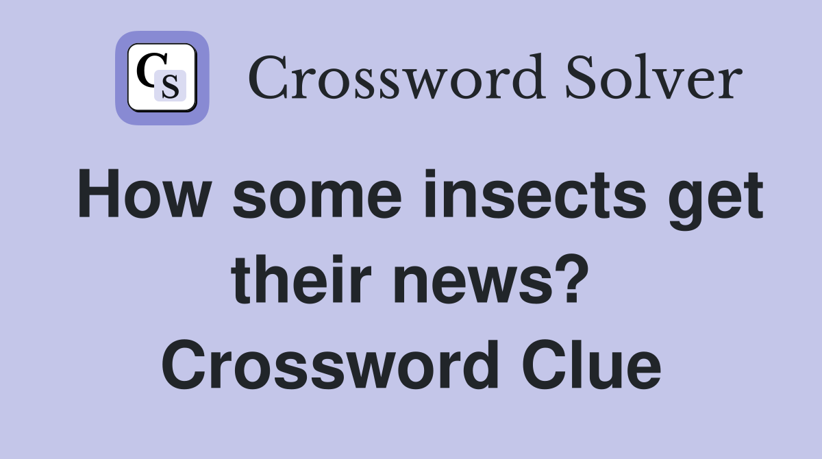 How some insects get their news? Crossword Clue
