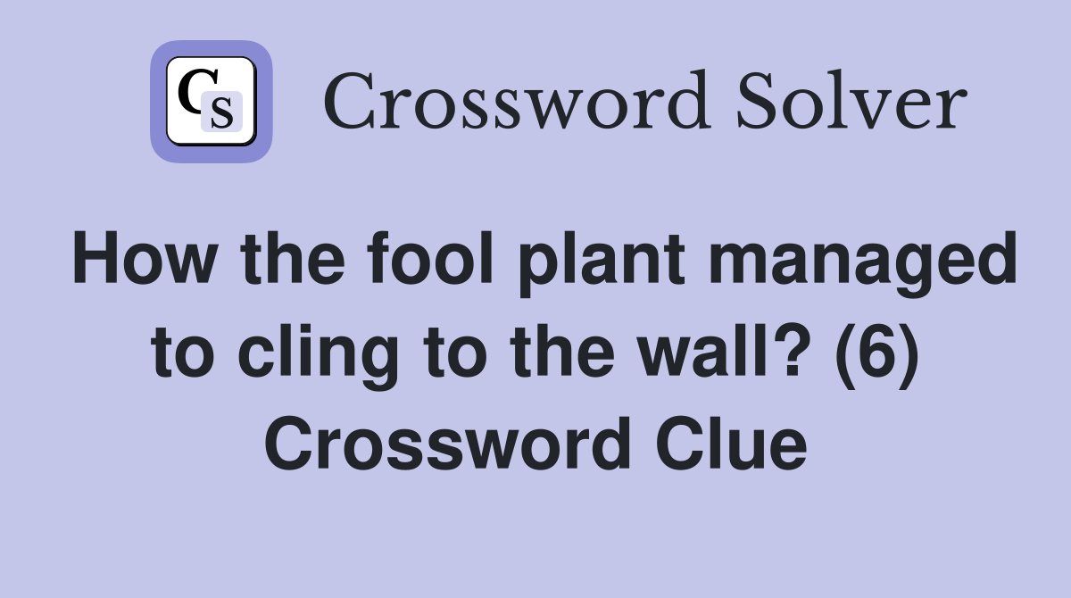How the fool plant managed to cling to the wall? (6) Crossword Clue