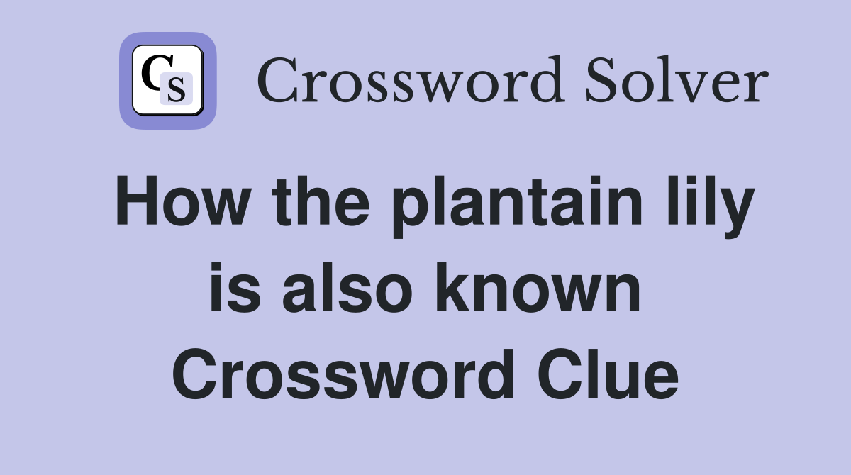 How the plantain lily is also known Crossword Clue