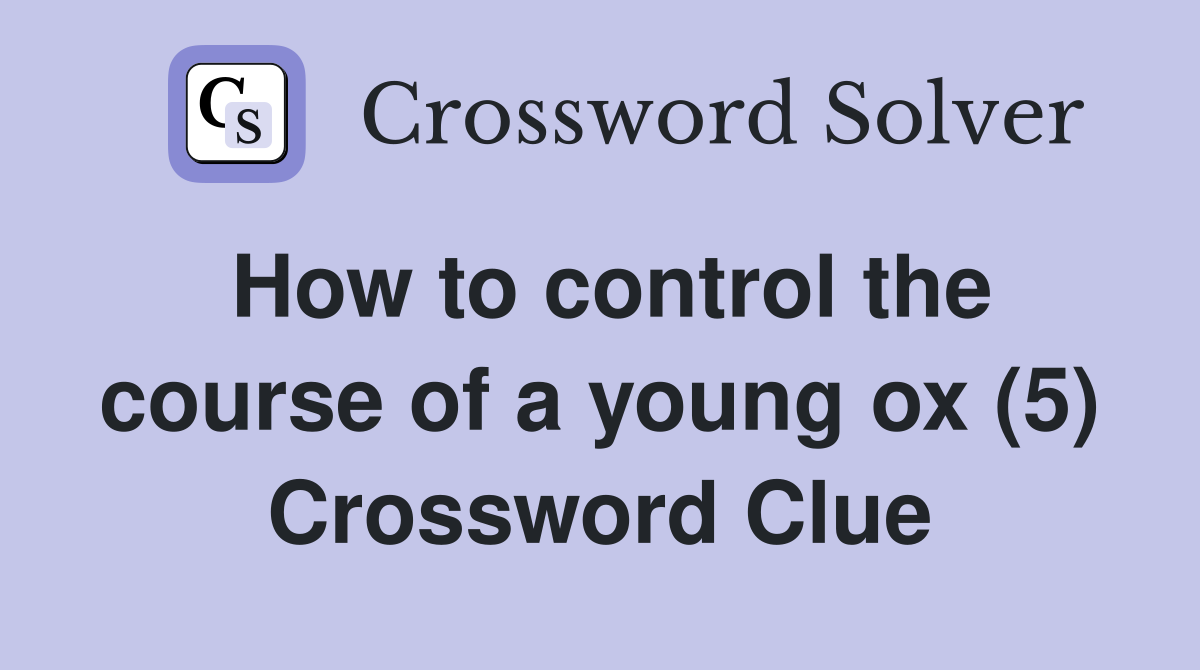 How to control the course of a young ox (5) Crossword Clue