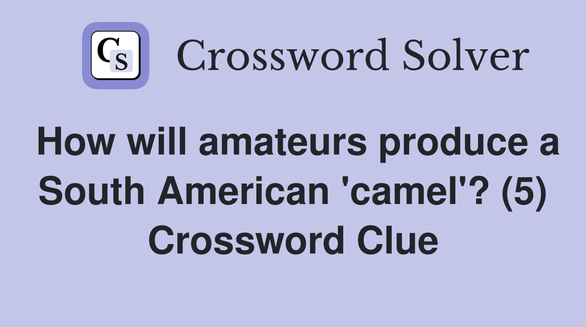 How will amateurs produce a South American 'camel'? (5) Crossword Clue