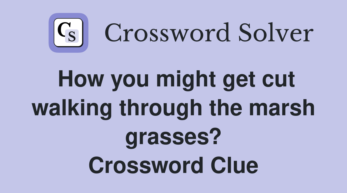 How you might get cut walking through the marsh grasses? Crossword Clue