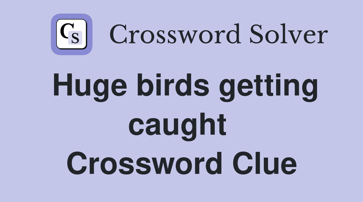 Huge birds getting caught  Crossword Clue