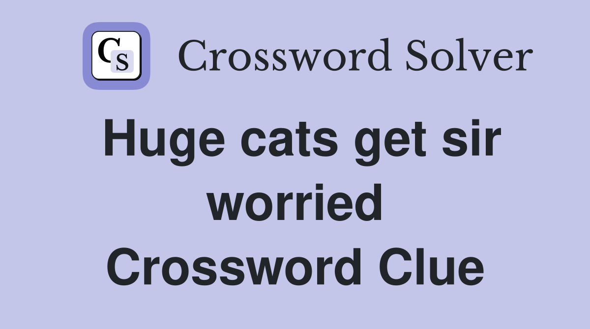 Huge cats get sir worried Crossword Clue