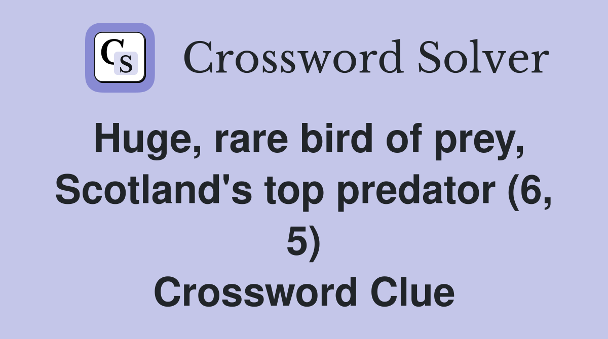 Huge, rare bird of prey, Scotland's top predator (6, 5) Crossword Clue