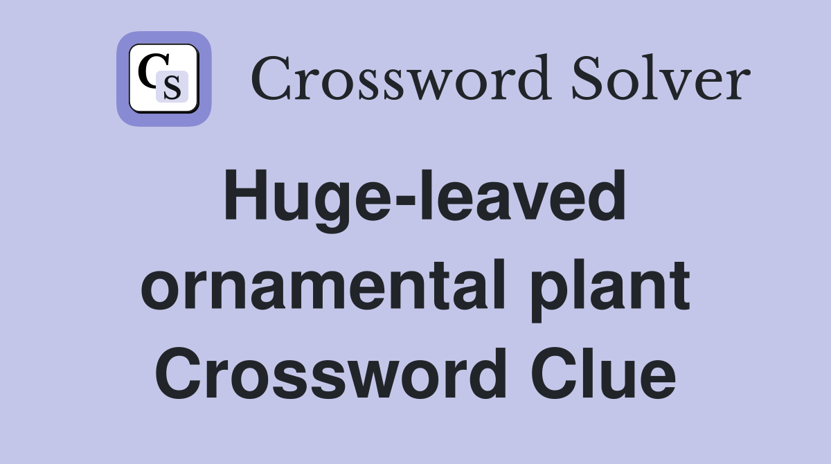 Huge-leaved ornamental plant Crossword Clue