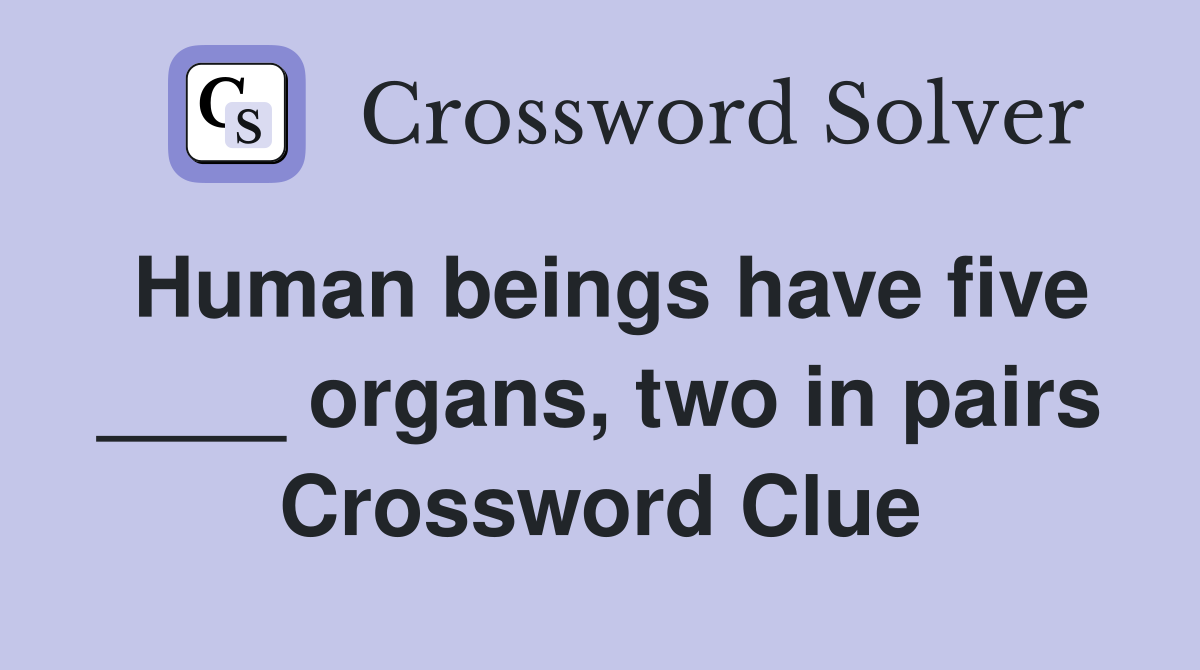 Human beings have five ____ organs, two in pairs Crossword Clue