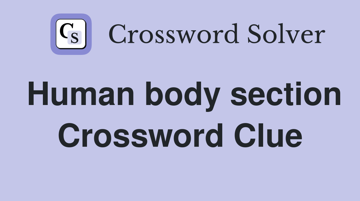 Human body section Crossword Clue