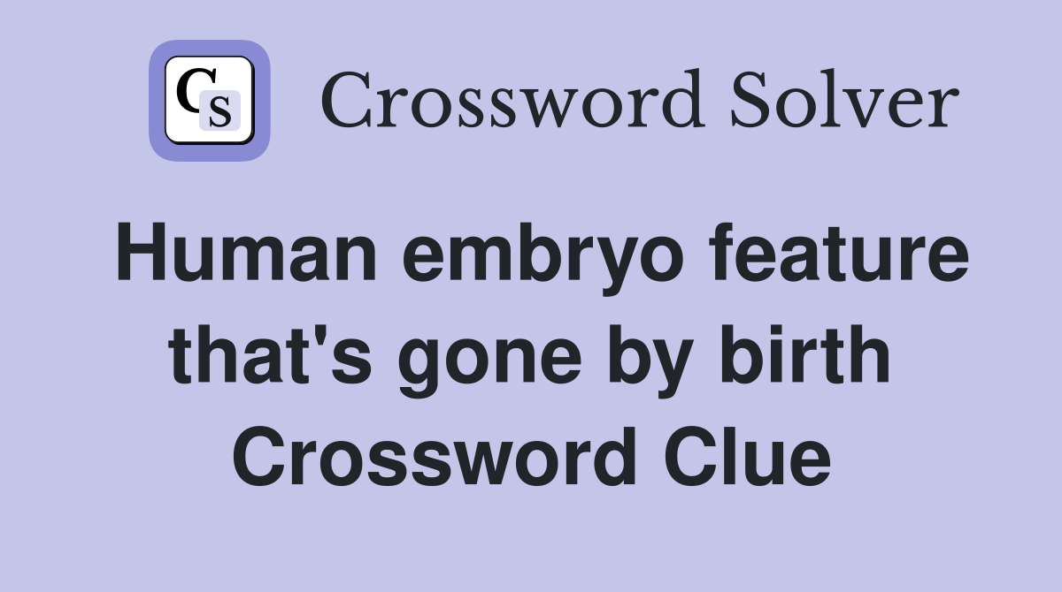 Human embryo feature that's gone by birth Crossword Clue