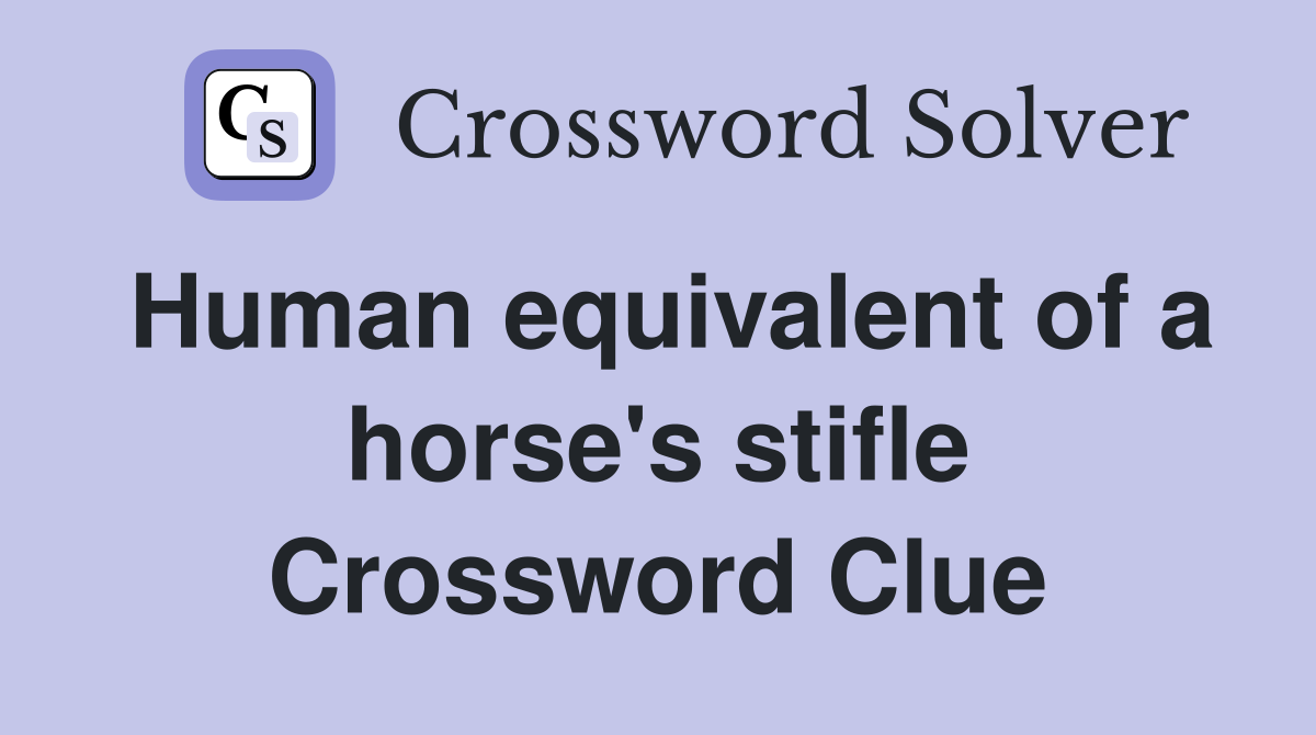 Human equivalent of a horse's stifle Crossword Clue