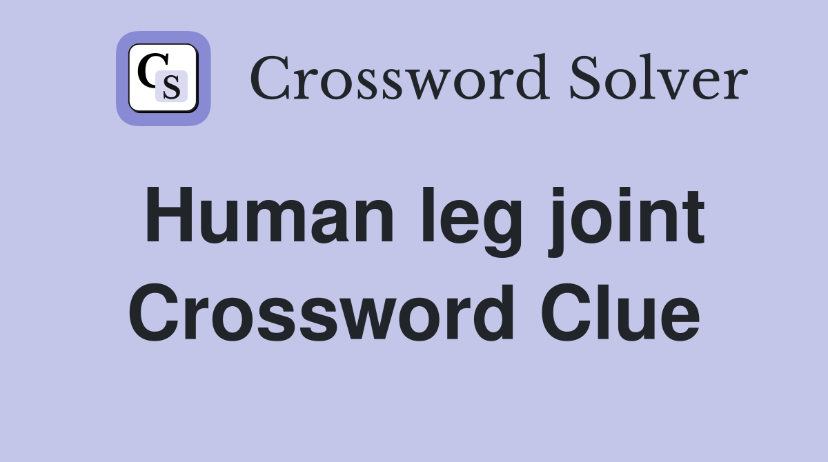 Human leg joint Crossword Clue