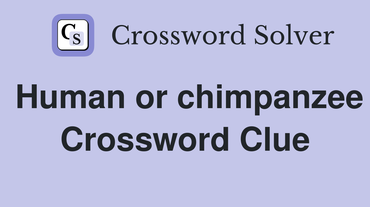 Human or chimpanzee Crossword Clue