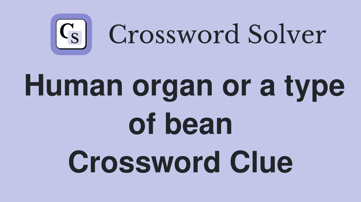 Human organ or a type of bean Crossword Clue