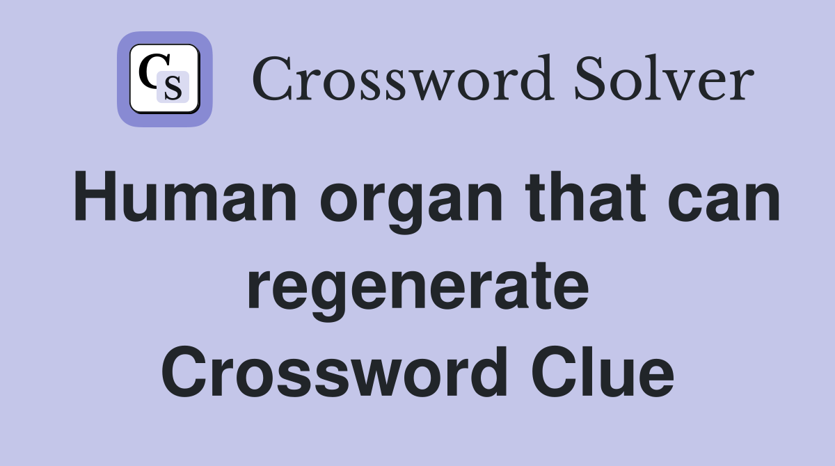 Human organ that can regenerate Crossword Clue