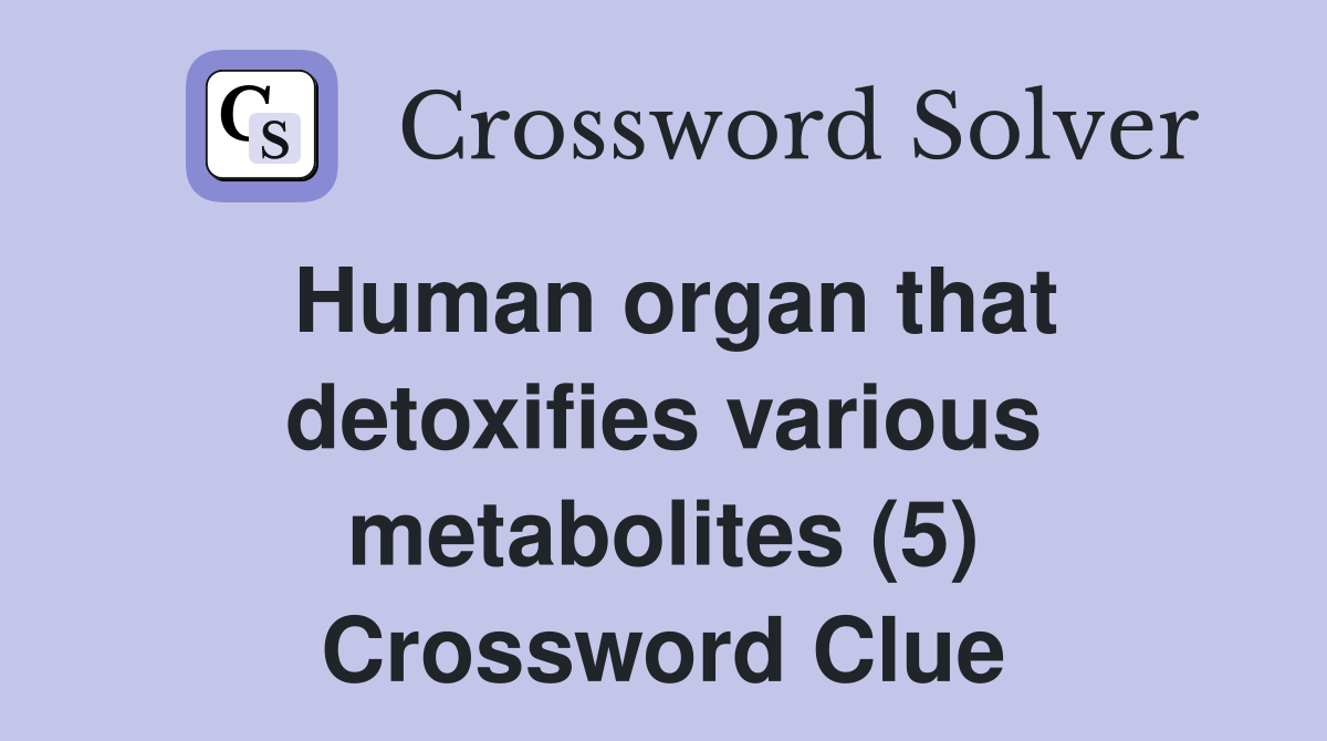 Human organ that detoxifies various metabolites (5) Crossword Clue