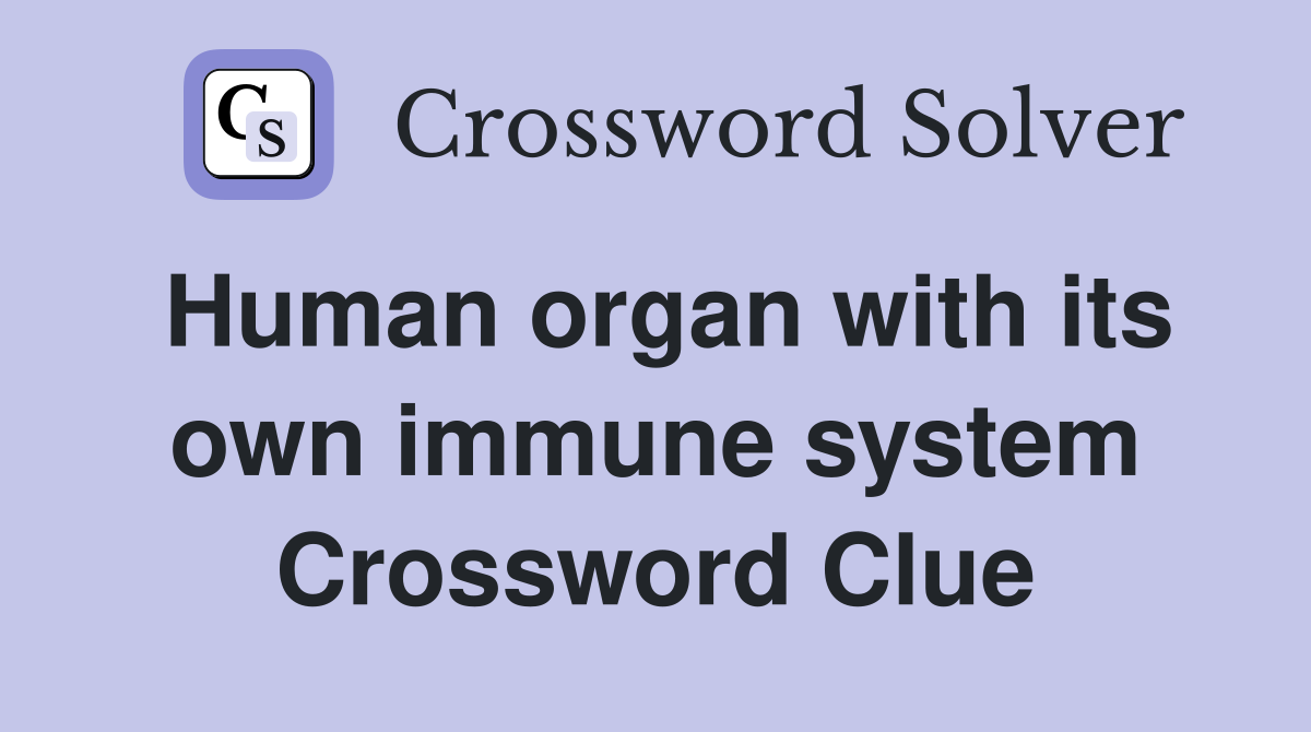 Human organ with its own immune system Crossword Clue