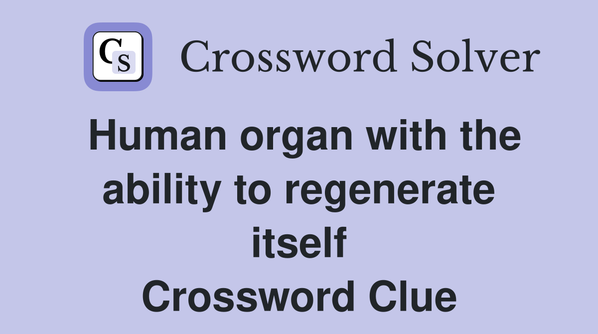 Human organ with the ability to regenerate itself Crossword Clue