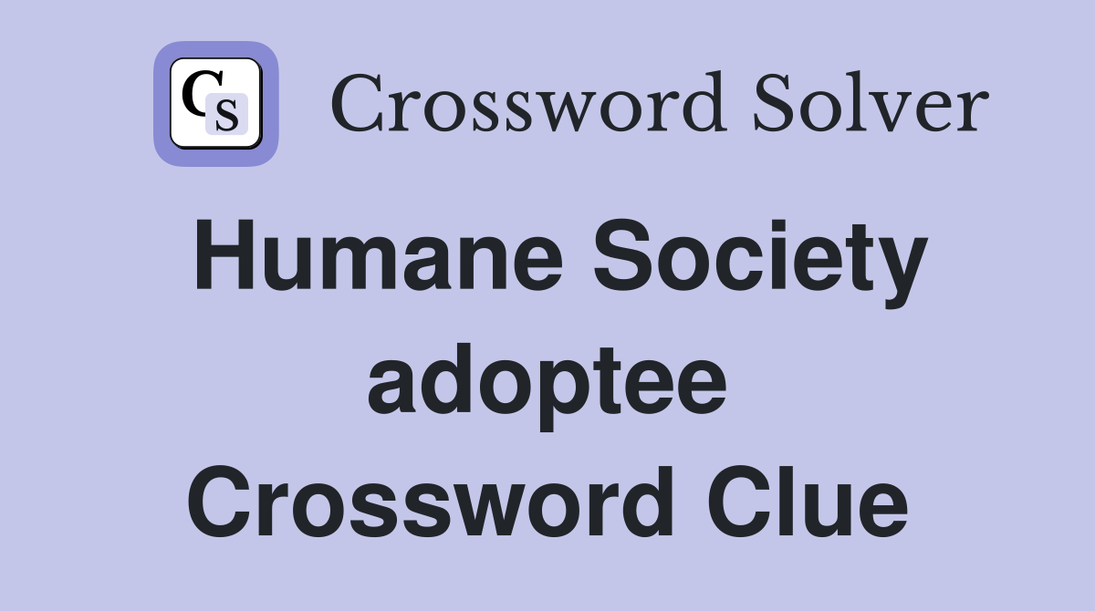 Humane Society adoptee Crossword Clue