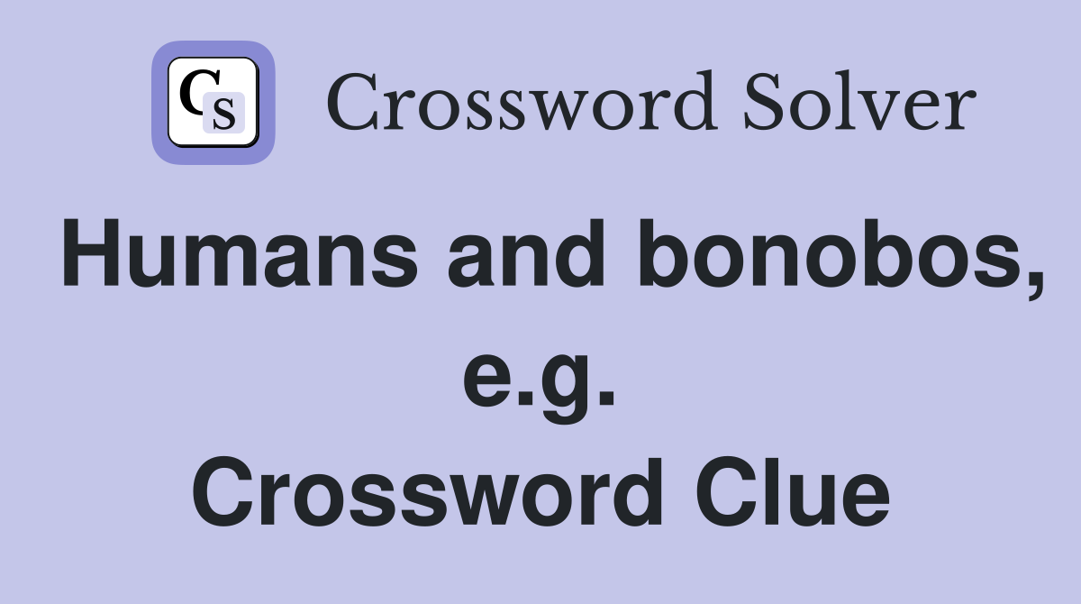 Humans and bonobos, e.g. Crossword Clue