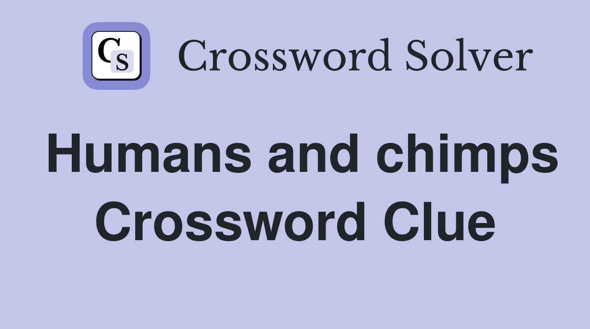 Humans and chimps Crossword Clue