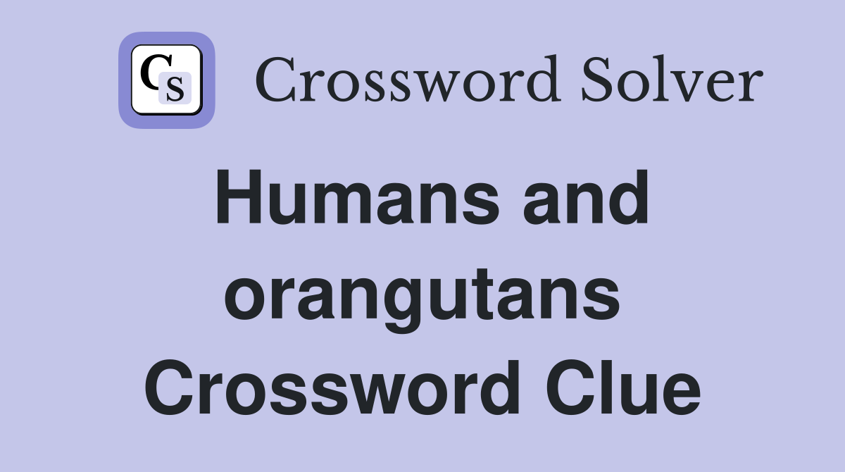 Humans and orangutans Crossword Clue