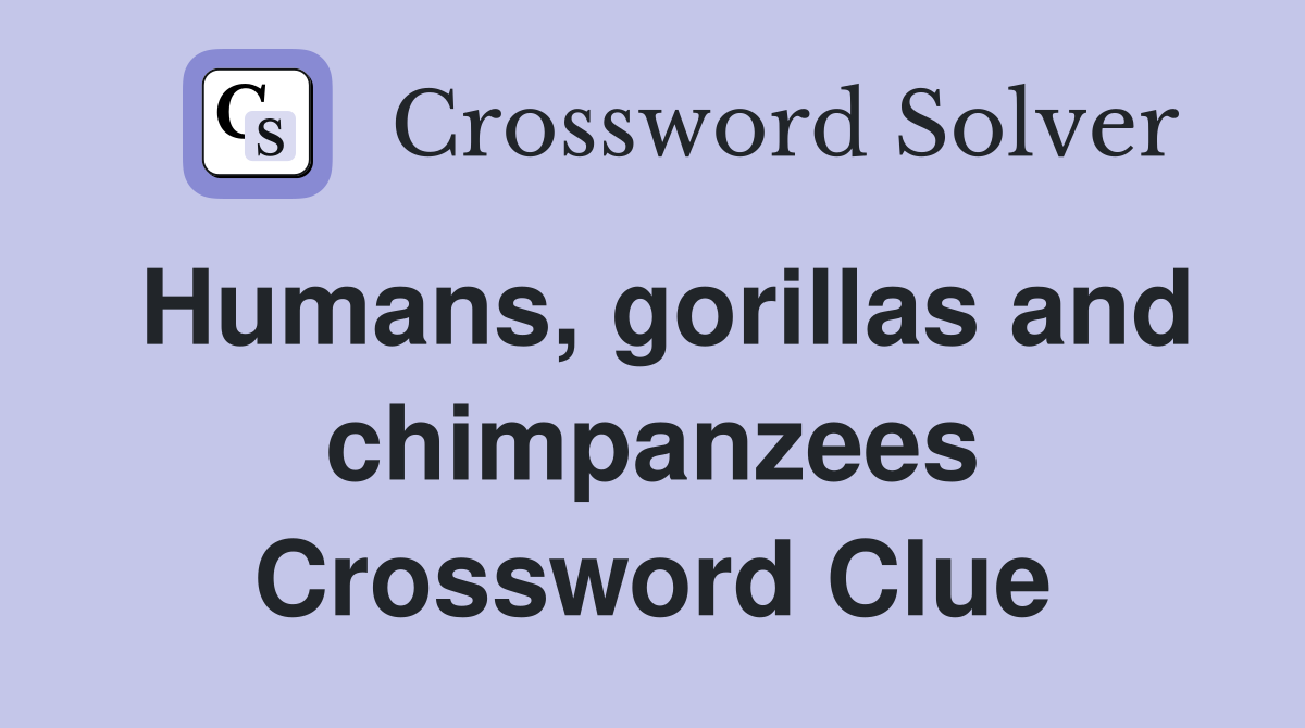 Humans, gorillas and chimpanzees Crossword Clue