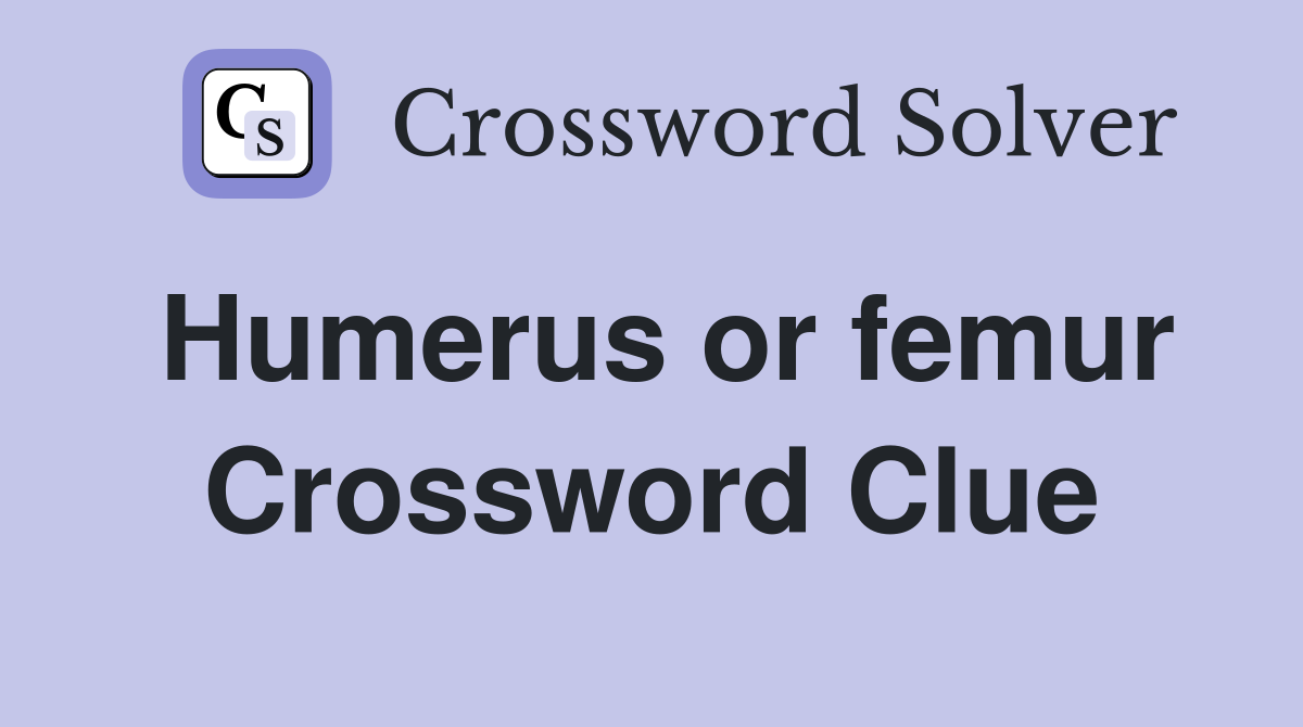 Humerus or femur Crossword Clue