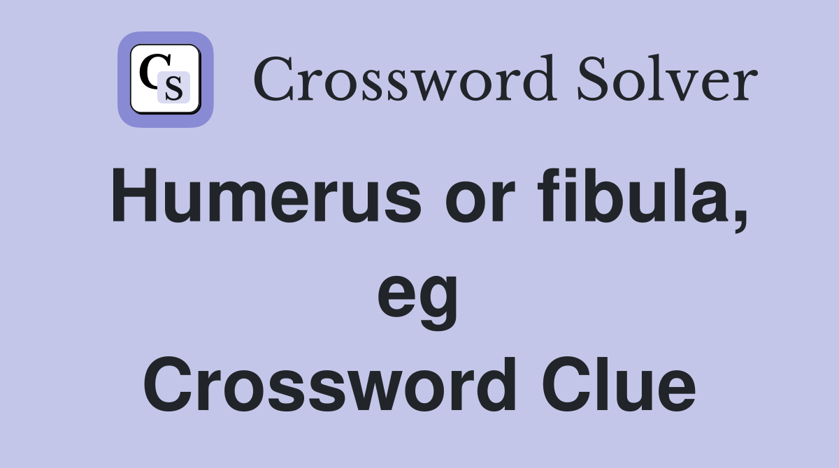 Humerus or fibula, eg Crossword Clue