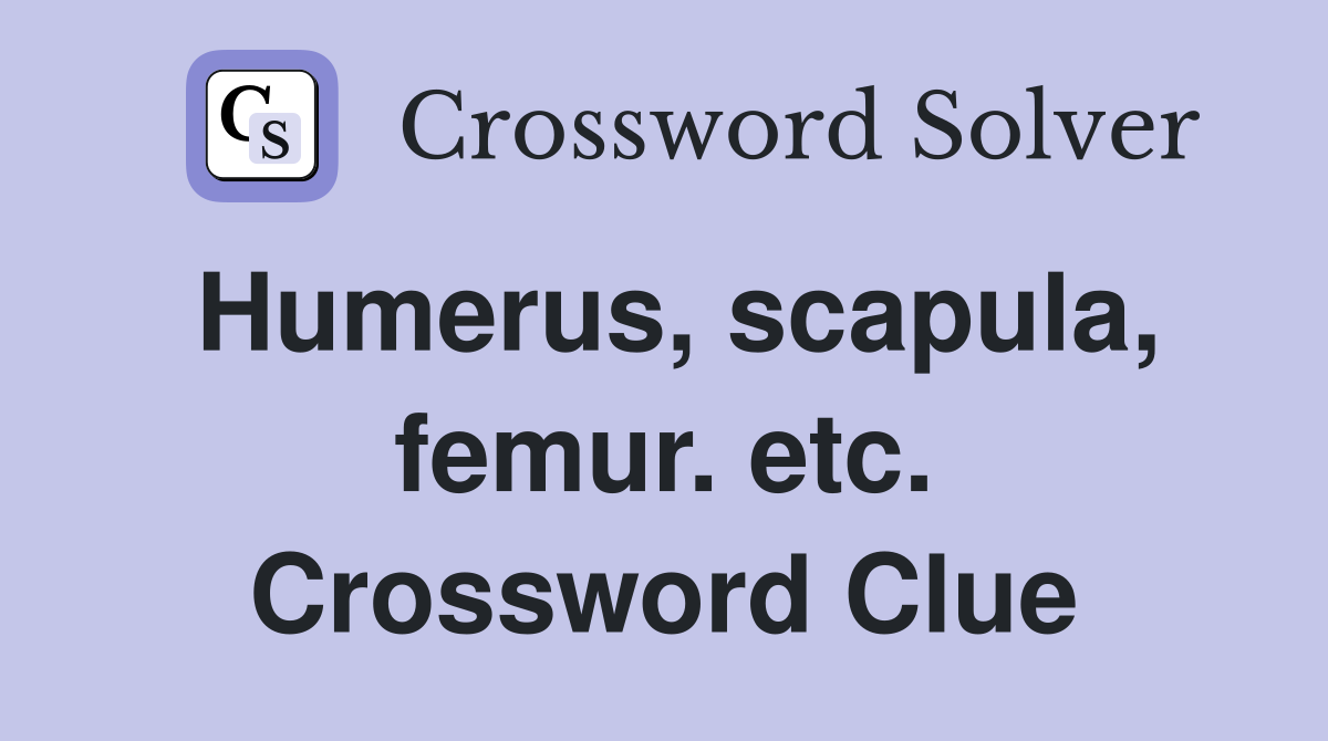 Humerus, scapula, femur. etc. Crossword Clue