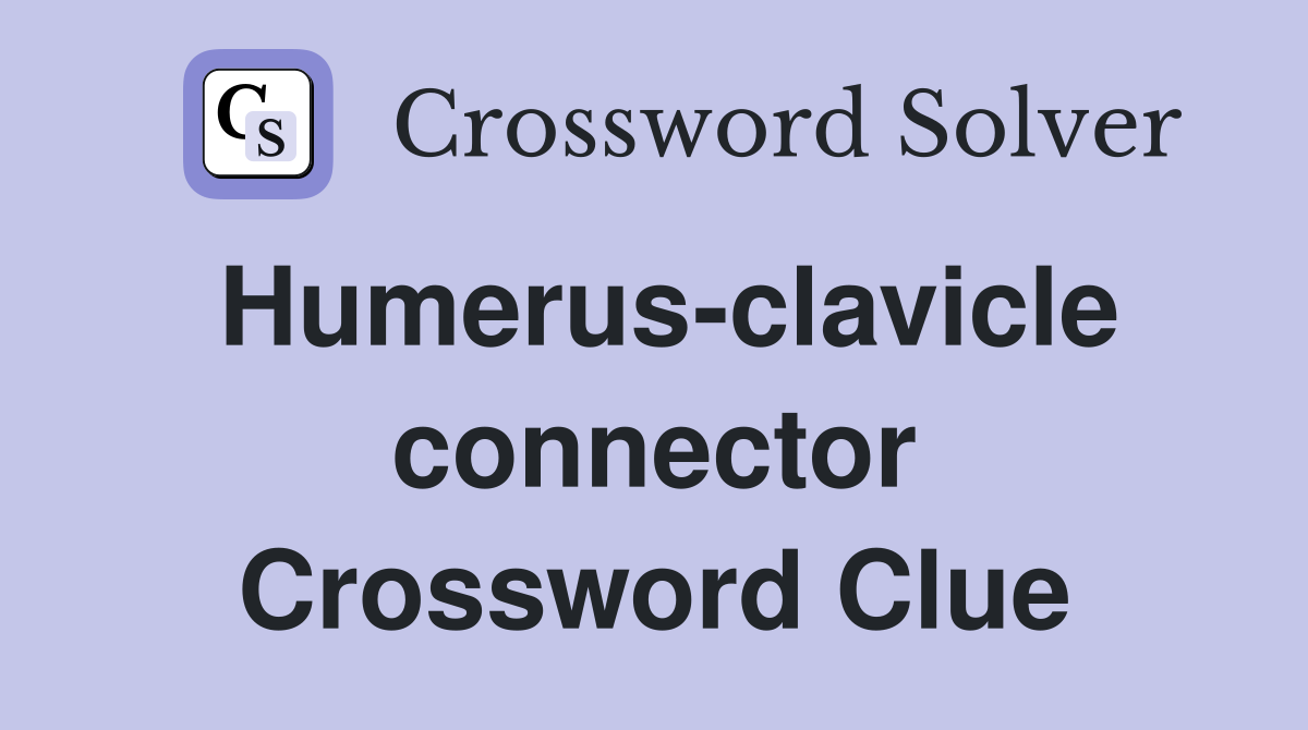 Humerus-clavicle connector Crossword Clue