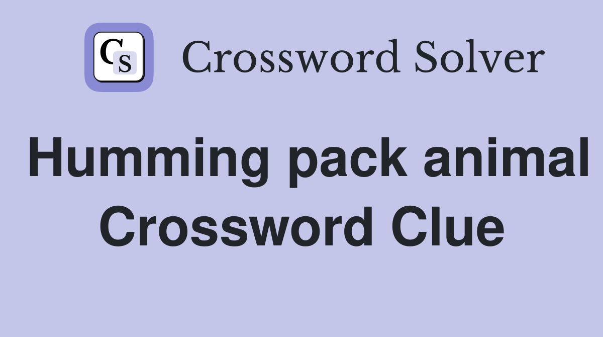 Humming pack animal Crossword Clue