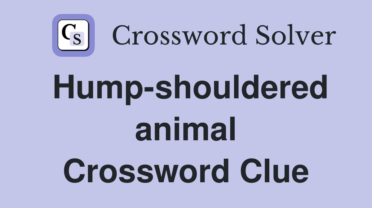 Hump-shouldered animal Crossword Clue