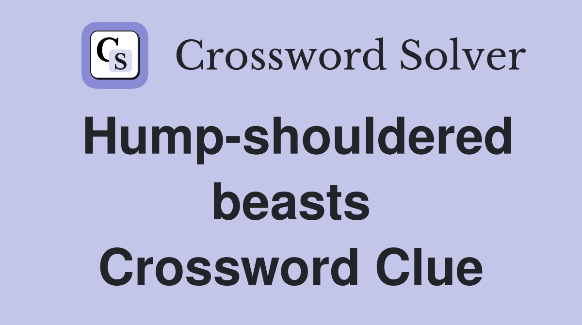 Hump-shouldered beasts Crossword Clue