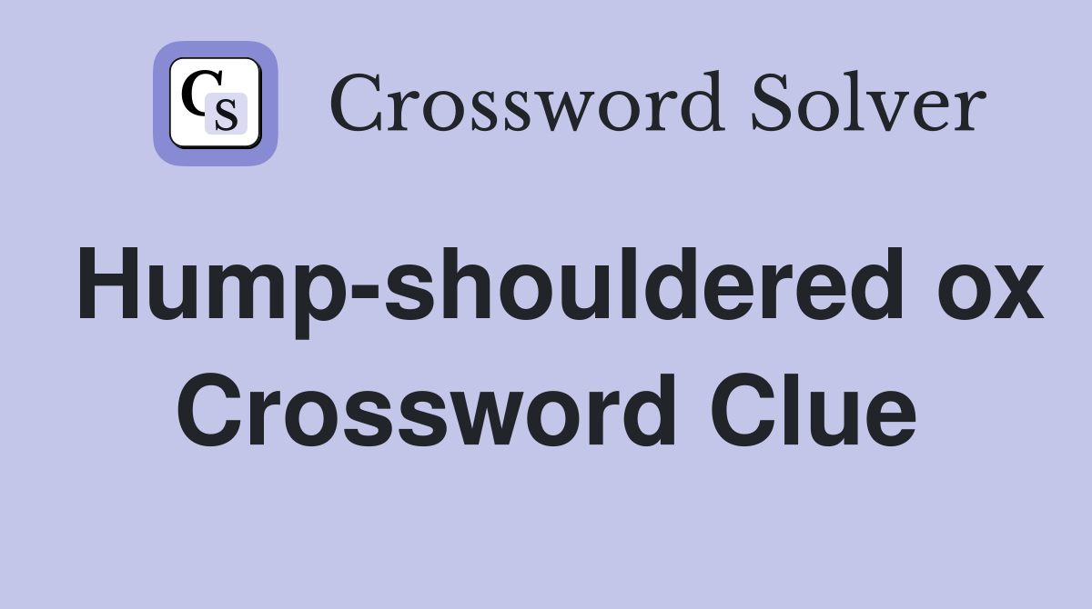 Hump-shouldered ox Crossword Clue